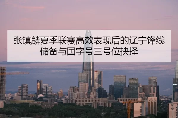 张镇麟夏季联赛高效表现后的辽宁锋线储备与国字号三号位抉择